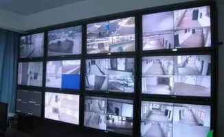 盗金窃药实荒唐——萍乡男子盗窃百万财物竟顺走整箱肾宝